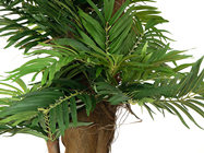 Areca Palm Tree - 140cm 