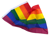 Gay Pride Rainbow Flag 90 x 60cm 