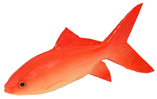 Rubber Goldfish 