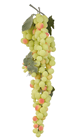 Country Style Green Grapes - 45cm 