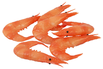 Prawns - Pk.6 