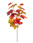 Maple Leaf Spray - PACK of 12 