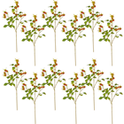 Rosehip Spray - PACK of 12 