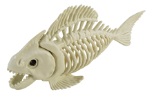 Fish Skeleton 