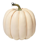 Autumn Cream Pumpkin - 20cm 