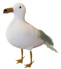 Standing Seagull - 22cm 