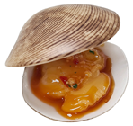 Replica Clam in Shell with Sauce, Pk 