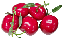 Giant Red Cherry - Slight Second 