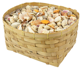Mixed Natural Seashells in Basket 