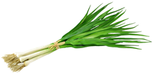 Spring Onion Bunch 