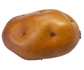 Large Potato 
