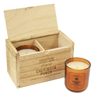 Cherimoya Punch Scented Candles - Set  