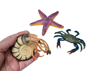 Crab, Starfish & Hermit Crab Set 