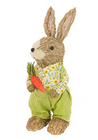 Easter Bunny Rabbit with Carrot
