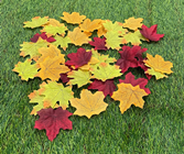 Autumn Leaf Selection - Pk.500 