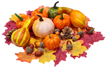 Autumn Gourd Display Set 