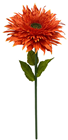 Giant Orange Double Gerbera Flower 