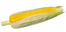 Fake Corn-on-the-Cob in Husk 
