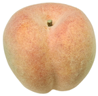 Lifelike Luxury Peach - Weighted 