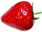 Giant Artificial Strawberry - Slight Sec 