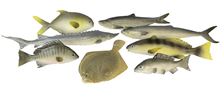 Perch Style Rubber Fish 