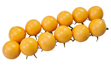 Yellow Tomato Truss 