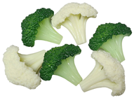 Artificial Broccoli Florets 