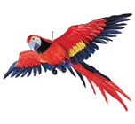 Parrot in Flight - 55cm 