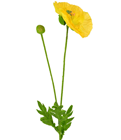 Artificial Yellow Poppy 