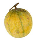 Replica Charentais Melon 