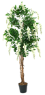 White Wisteria Tree - 180cm 
