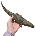 Green Baby Crocodile 