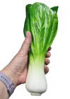 Fake Bok Choy Chinese Cabbage 