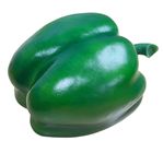 Green Bell Pepper 