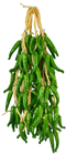 Green Chilli Pepper Plait - Pk.2 