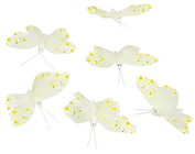 White Feather Butterfly - 8cm Pk.6 