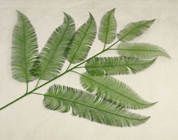 FERN BRANCH - 115CM 