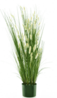 Grass with Cats Tails in Pot - 90cm 