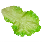 Light Green Fake Lettuce Leaves - Pk.5 