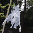 Hanging Upside Down Skeleton Torso 