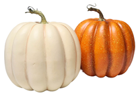 Autumn Cream Pumpkin - 20cm 