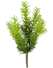 Rosemary Herb Sprig 