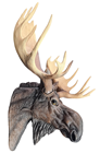 Realistic Artificial Moose Head 