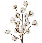 Cotton Plant Branch 