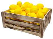 Lemons - Pk.12 