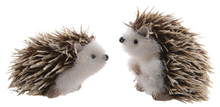 Hedgehogs - Set of 2