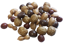 Fake Mixed Nuts - Pk.50 