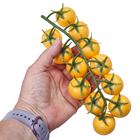 Yellow Tomato Truss 