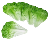 Lettuce Leaves - Pk.5 