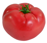 Tomato - 8cm 